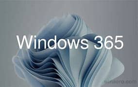 Windows 365